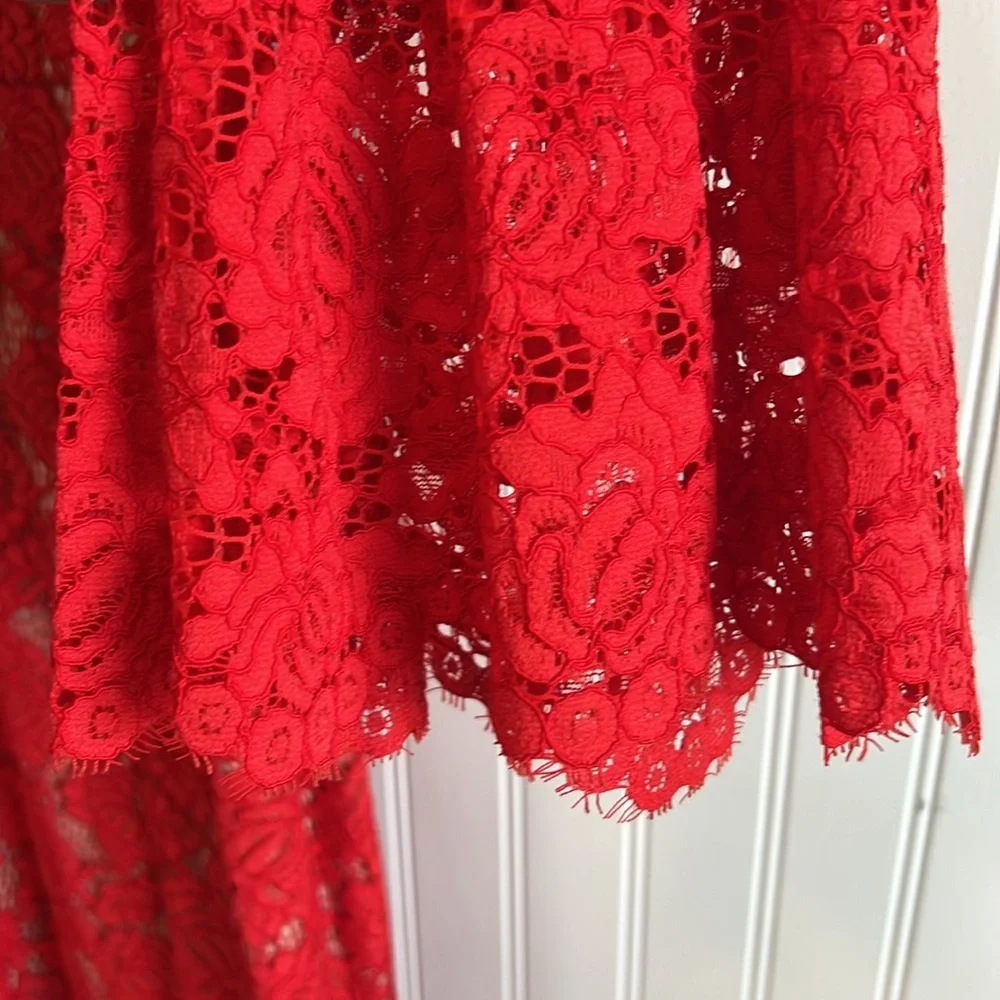Theia‎ Scarlet Long Sleeve Lace Dress - Picture 6 of 13